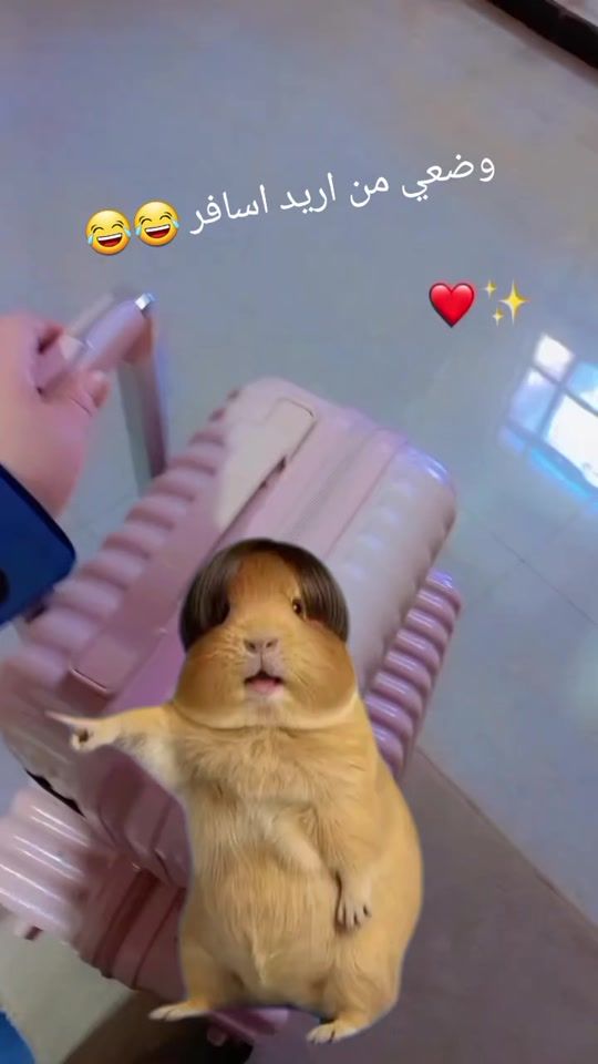 TikTok video thumbnail by jjbbggoopp