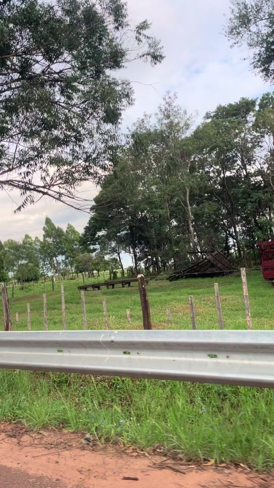 TikTok video thumbnail by julialopez656