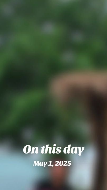 TikTok video thumbnail by ppsa007
