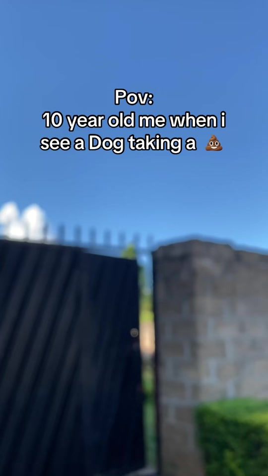 TikTok video thumbnail by martinchase3