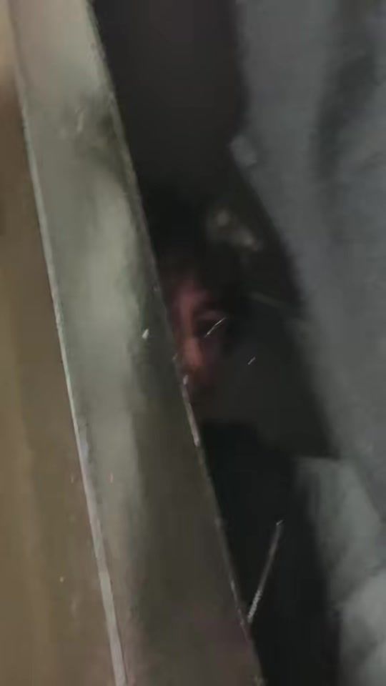 TikTok video thumbnail by frijol_y_yo