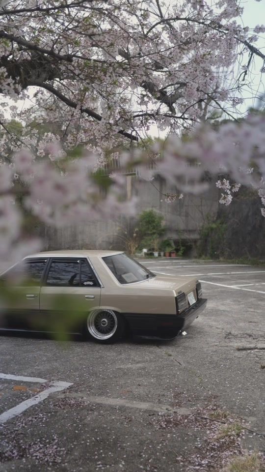 TikTok video thumbnail by civic_cbr