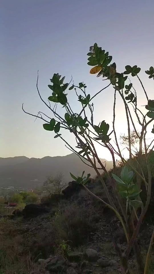 TikTok video thumbnail by m.ooo.12345