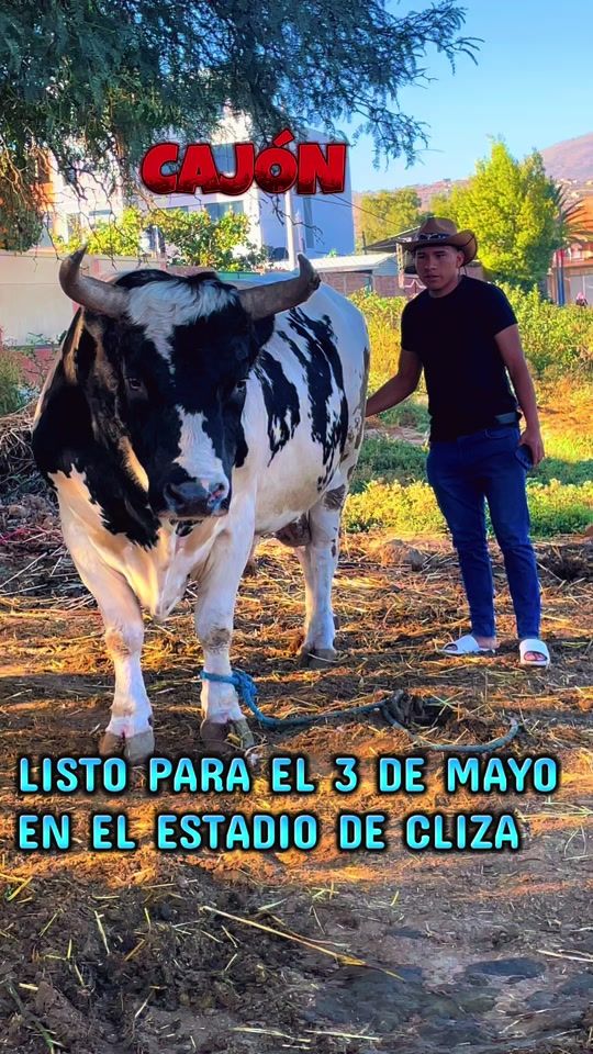 TikTok video thumbnail by ronald_oficial77