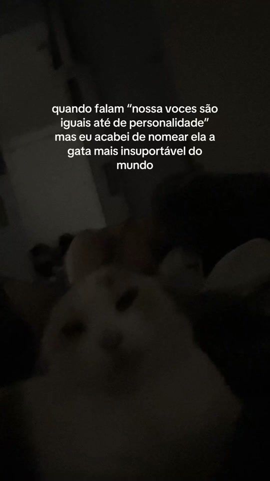 TikTok video thumbnail by bc.diemeier