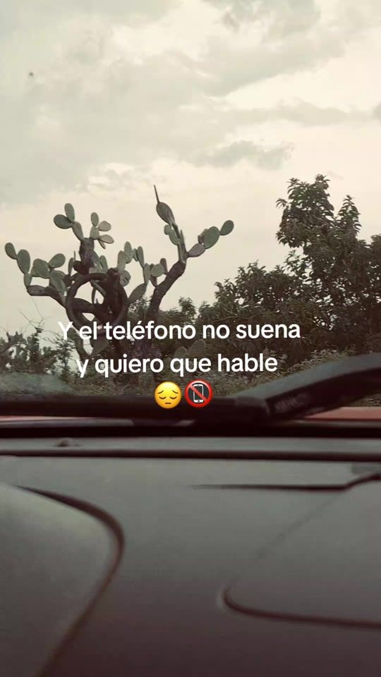 TikTok video thumbnail by claramonserratcau