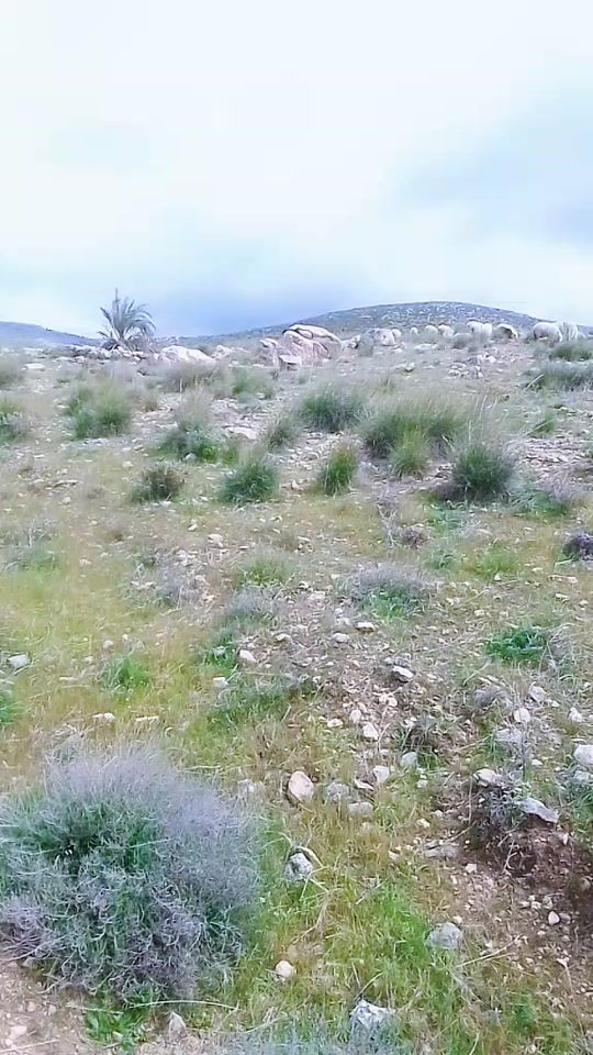TikTok video thumbnail by rabia_attouri2