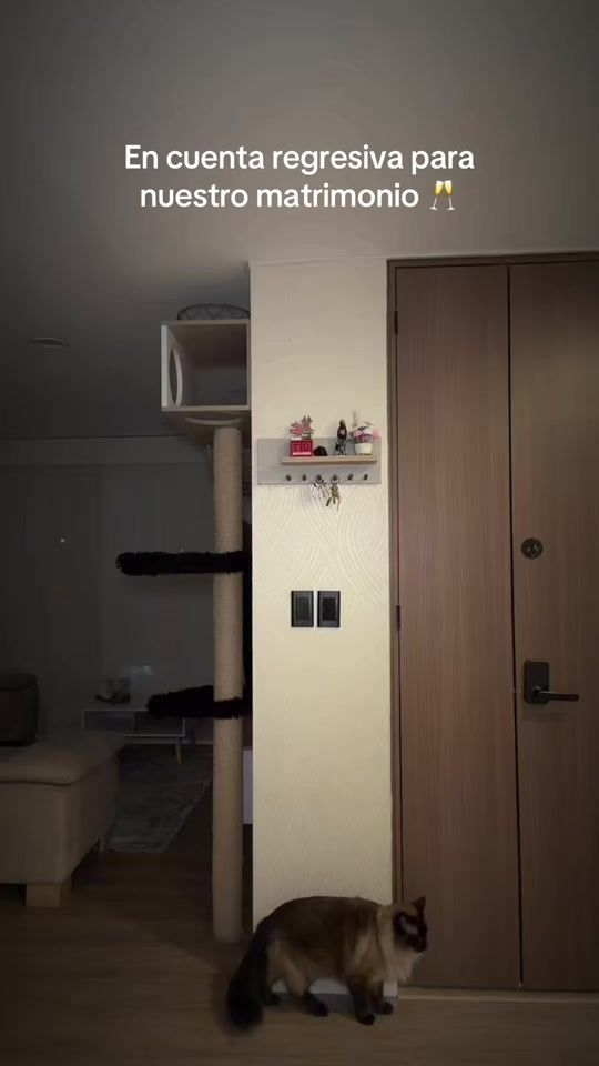 TikTok video thumbnail by zarateee_18