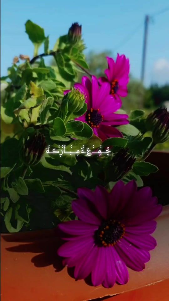 TikTok video thumbnail by baraa.om