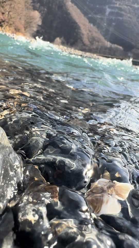 TikTok video thumbnail by junglehsj1