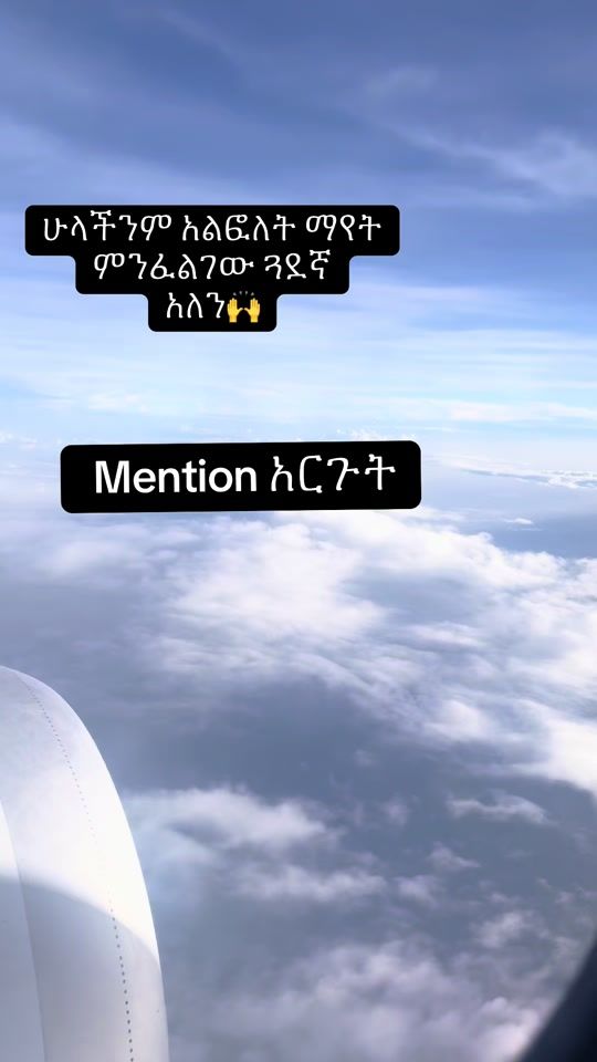 TikTok video thumbnail by alferid2
