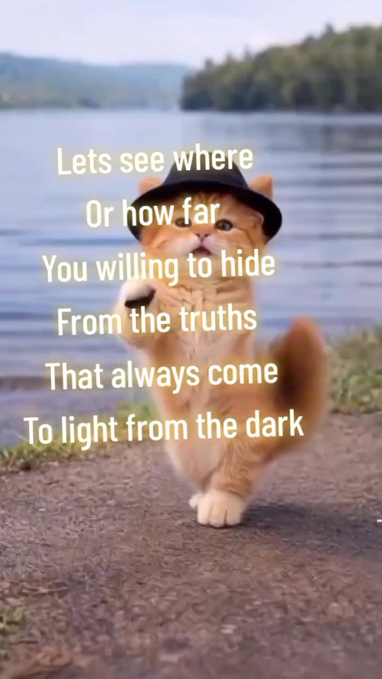 TikTok video thumbnail by willharp09