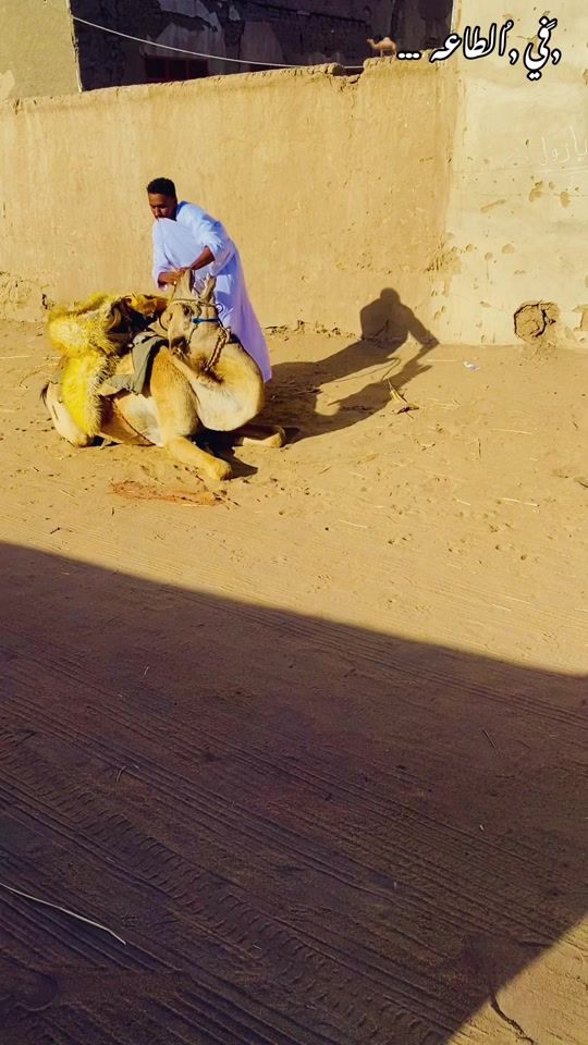 TikTok video thumbnail by akra_m.alhendy.115