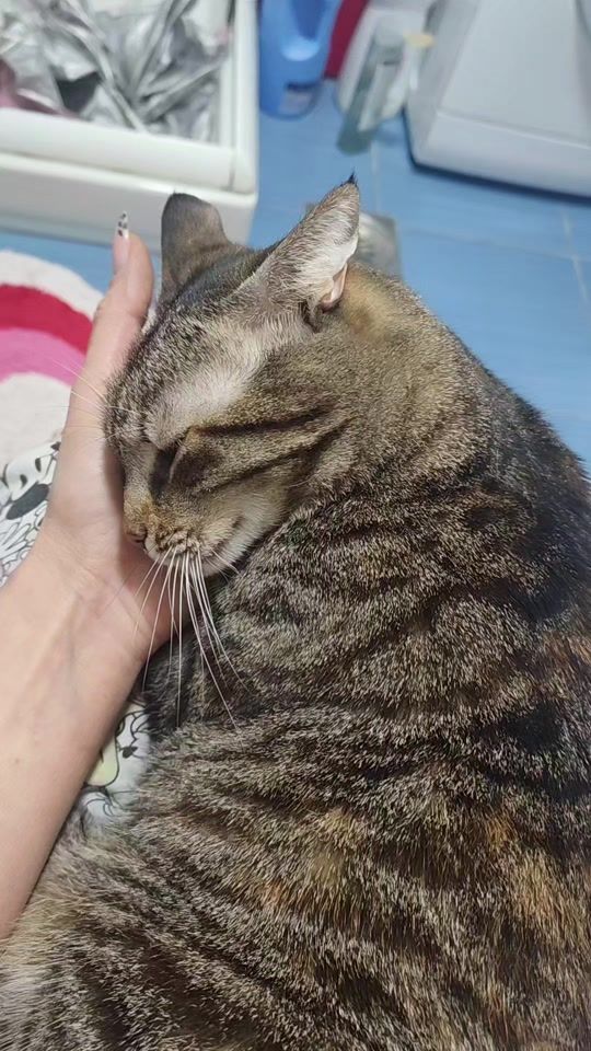 TikTok video thumbnail by marticmarija