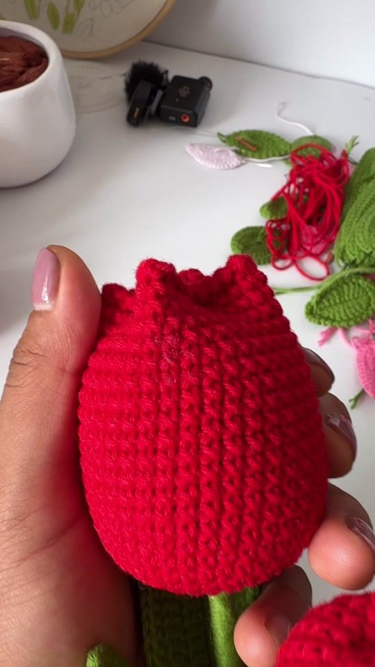 TikTok video thumbnail by munaycrochetpe