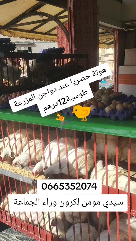 TikTok video thumbnail by sihamhaymour5
