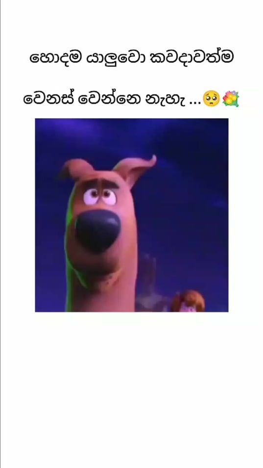 TikTok video thumbnail by supuni788