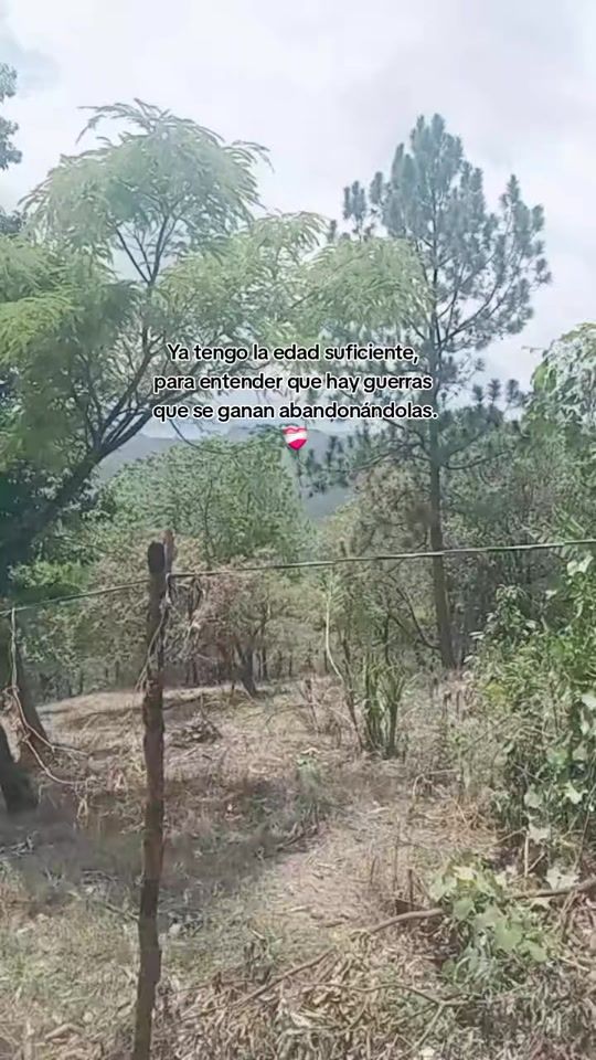 TikTok video thumbnail by lizzymartinezt3