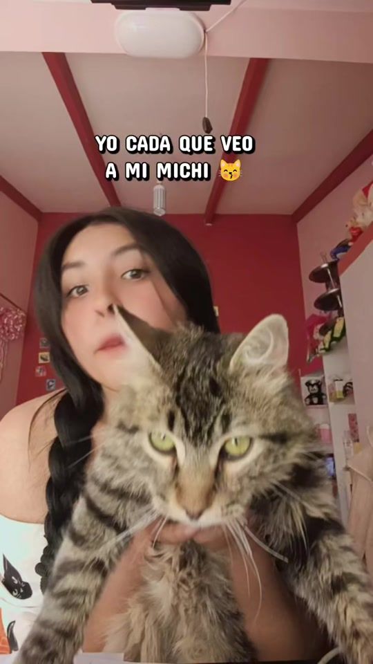 TikTok video thumbnail by pao_peke_