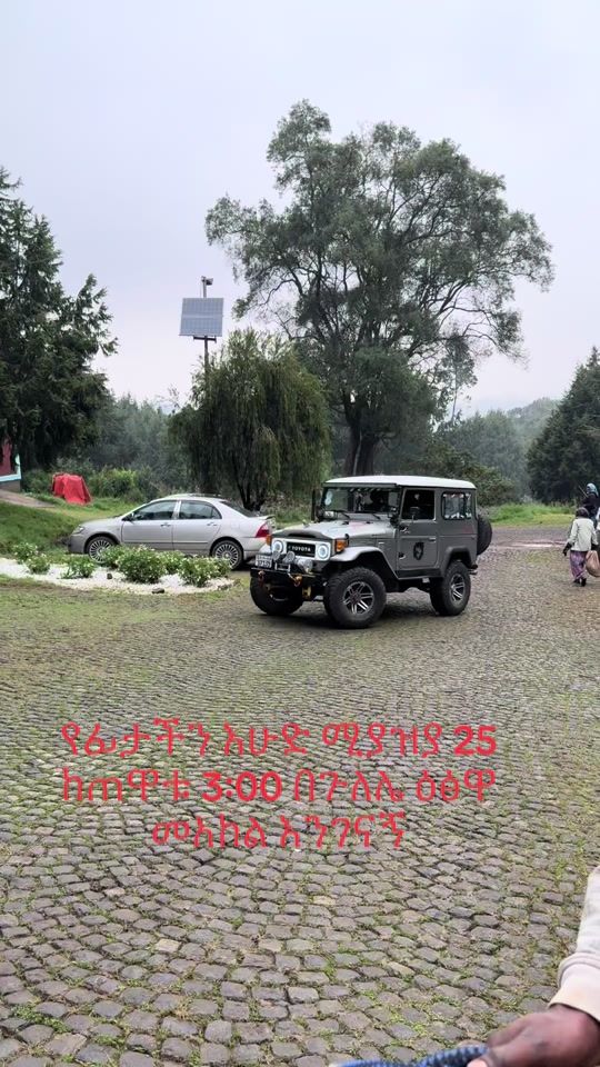 TikTok video thumbnail by lionspet