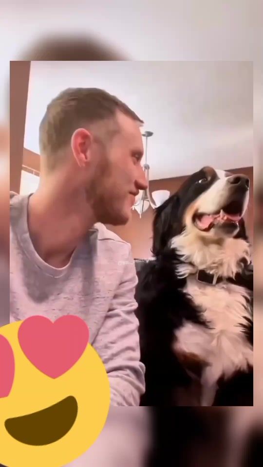 TikTok video thumbnail by sr._firulais
