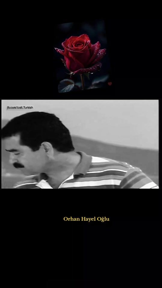 TikTok video thumbnail by orhan_hayel_oglu