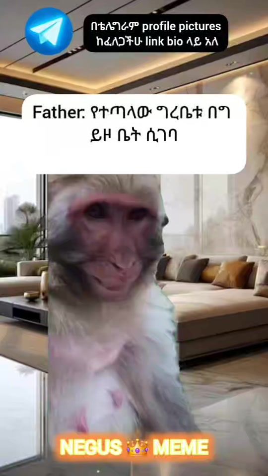 TikTok video thumbnail by negus_meme