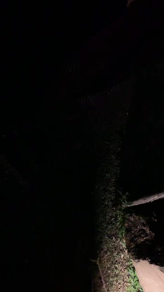 TikTok video thumbnail by iamnadier