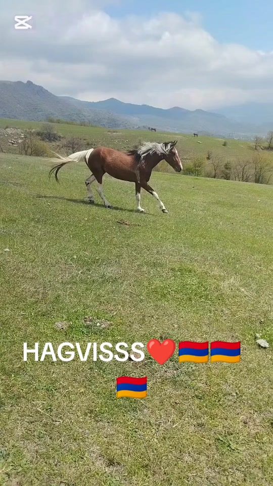 TikTok video thumbnail by poez15