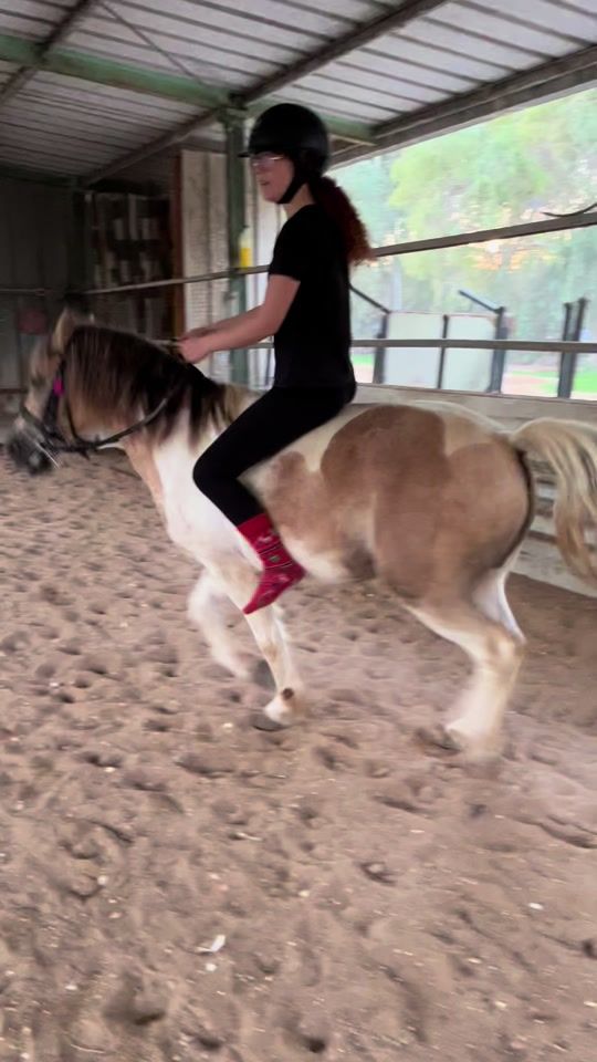 TikTok video thumbnail by daniel.horses
