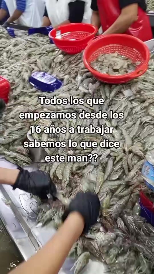 TikTok video thumbnail by moro_universo_37