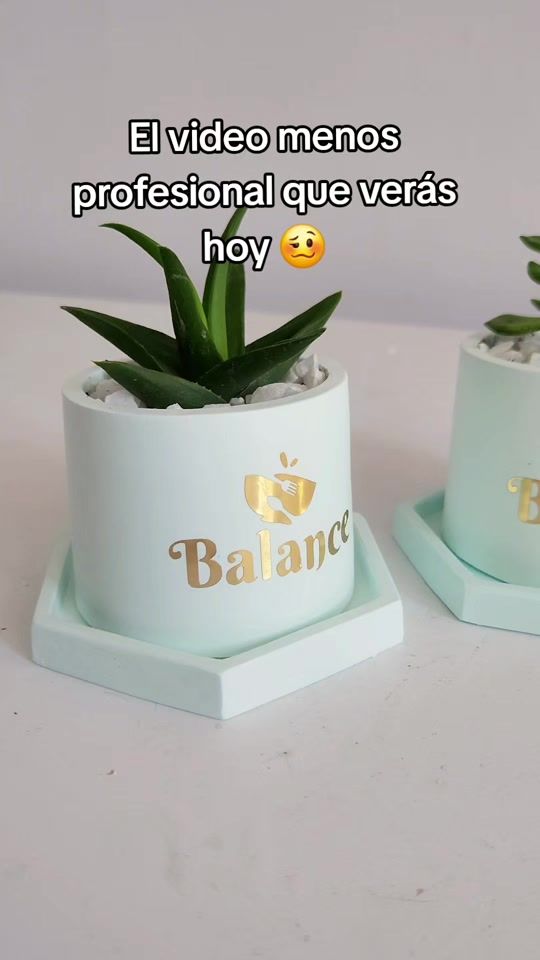 TikTok video thumbnail by carlitavidal0