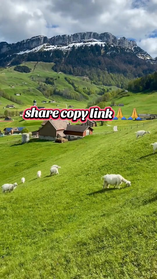 TikTok video thumbnail by mameoffical1