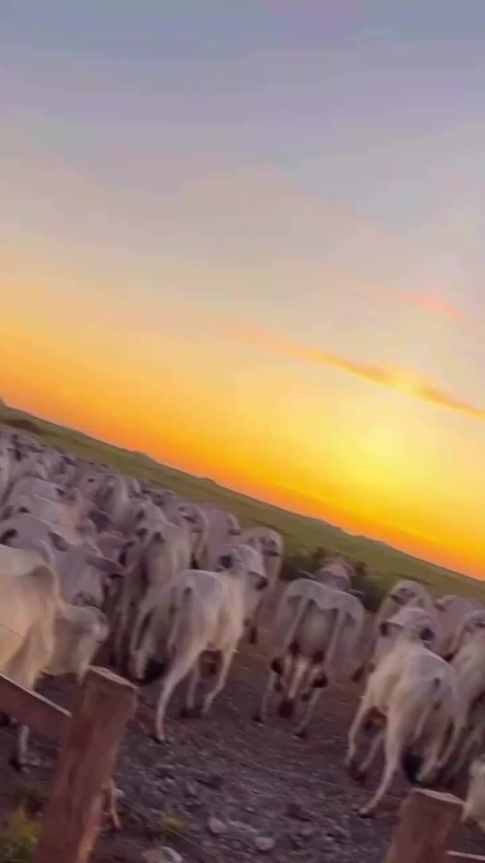 TikTok video thumbnail by isaak636