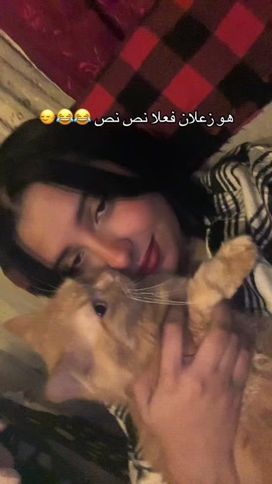 TikTok video thumbnail by shimaaebraahim