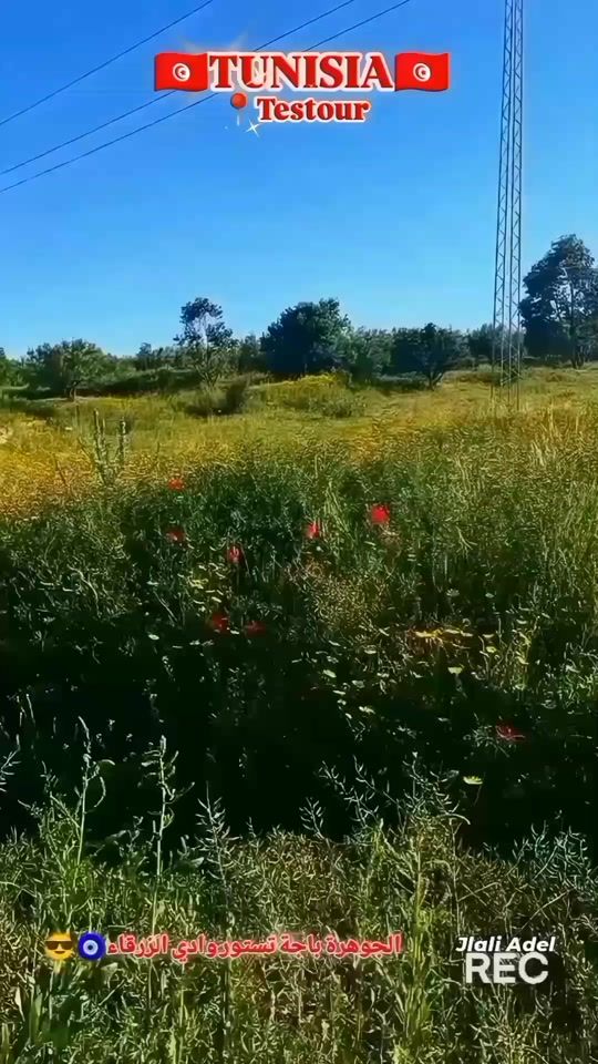 TikTok video thumbnail by jlali.adel
