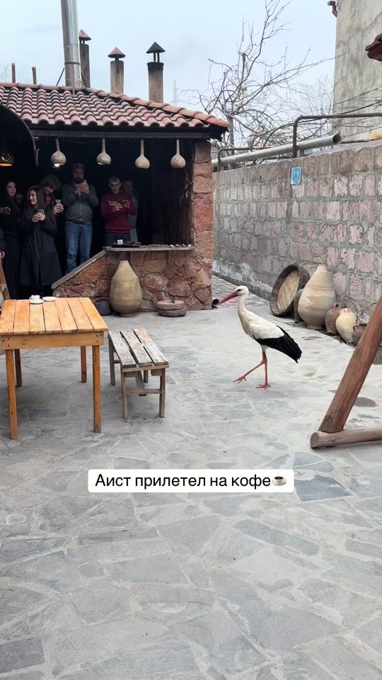 TikTok video thumbnail by armeniatour