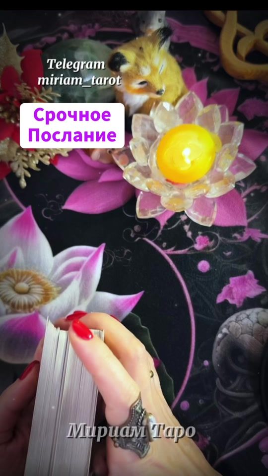 TikTok video thumbnail by miriam_tarot