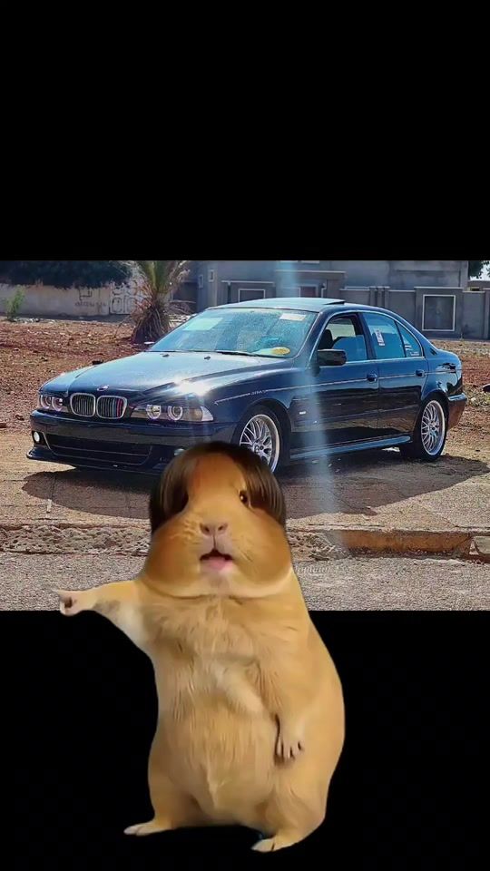 TikTok video thumbnail by m_lg97