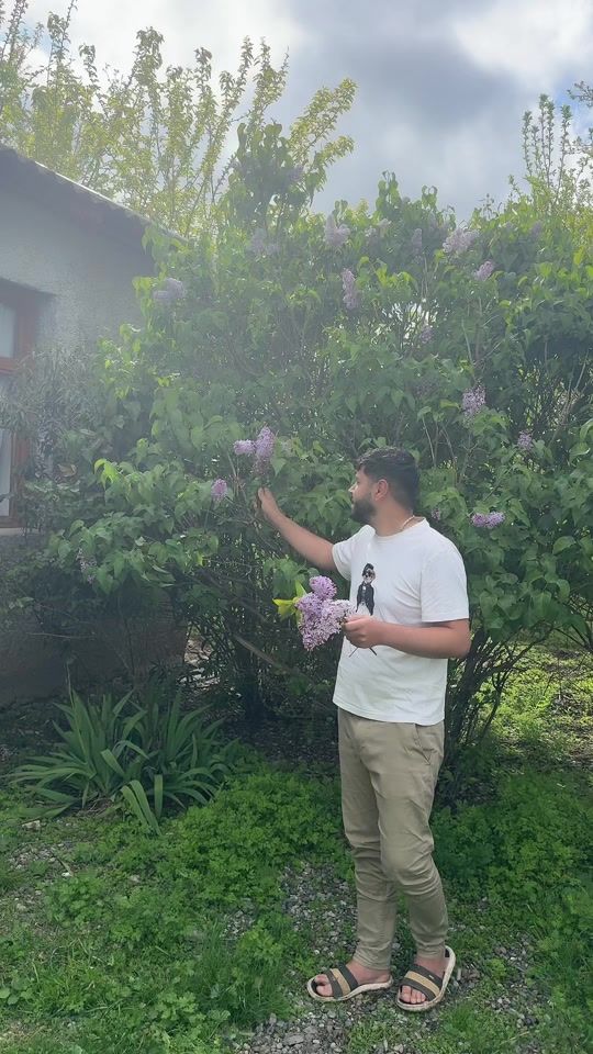 TikTok video thumbnail by demir__59