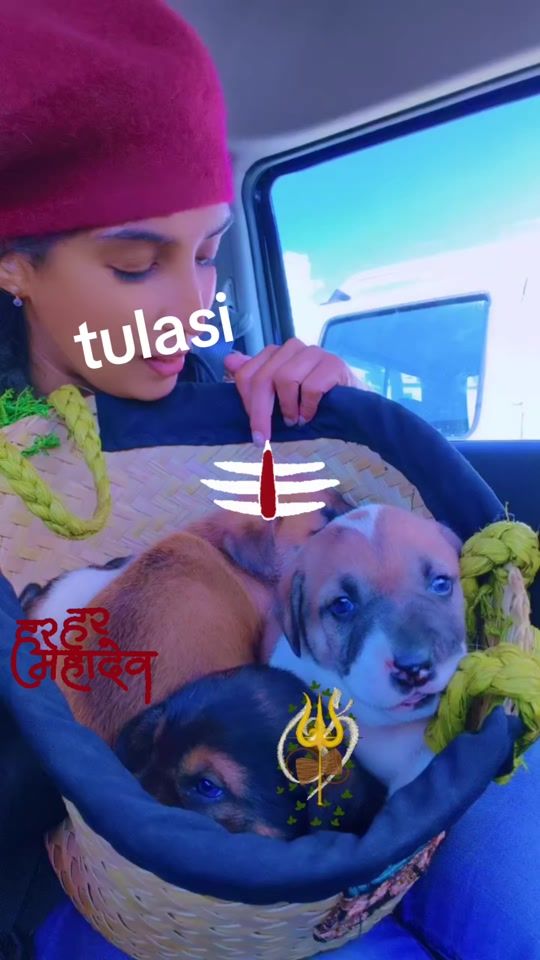 TikTok video thumbnail by kudukee1