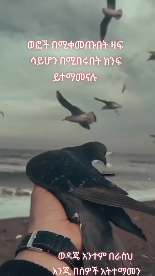 TikTok video thumbnail by ethio.oo