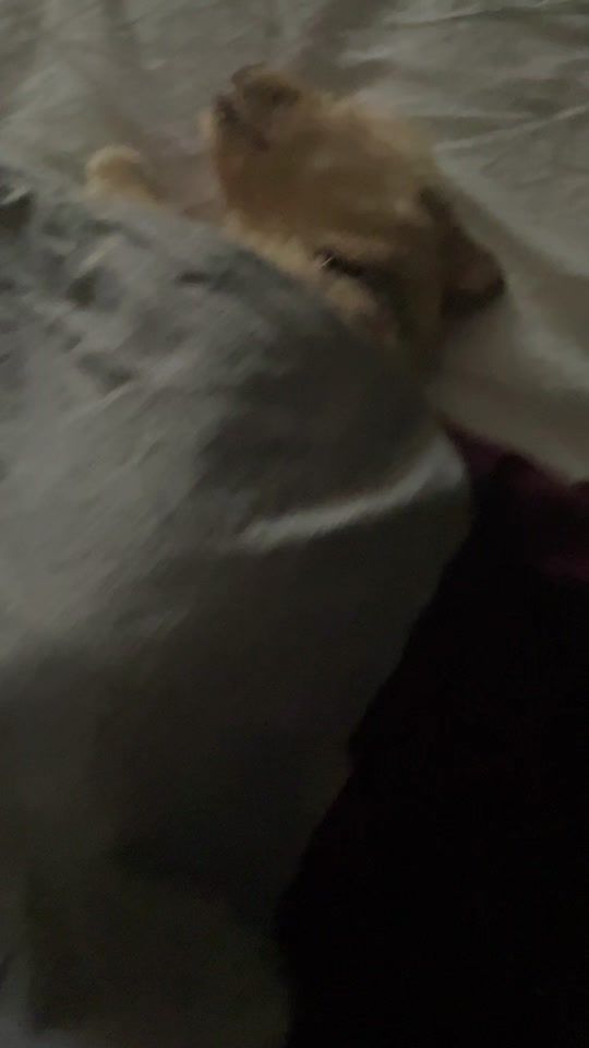 TikTok video thumbnail by rintiktook