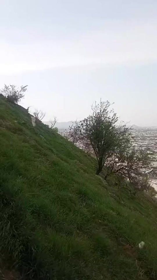 TikTok video thumbnail by madina57592