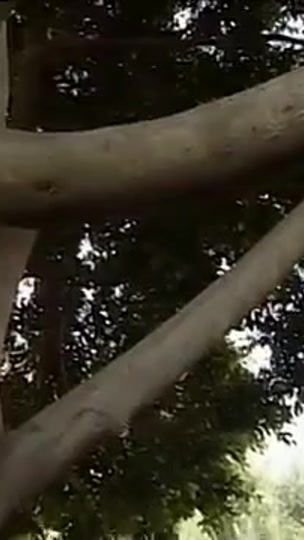 TikTok video thumbnail by novemex.com