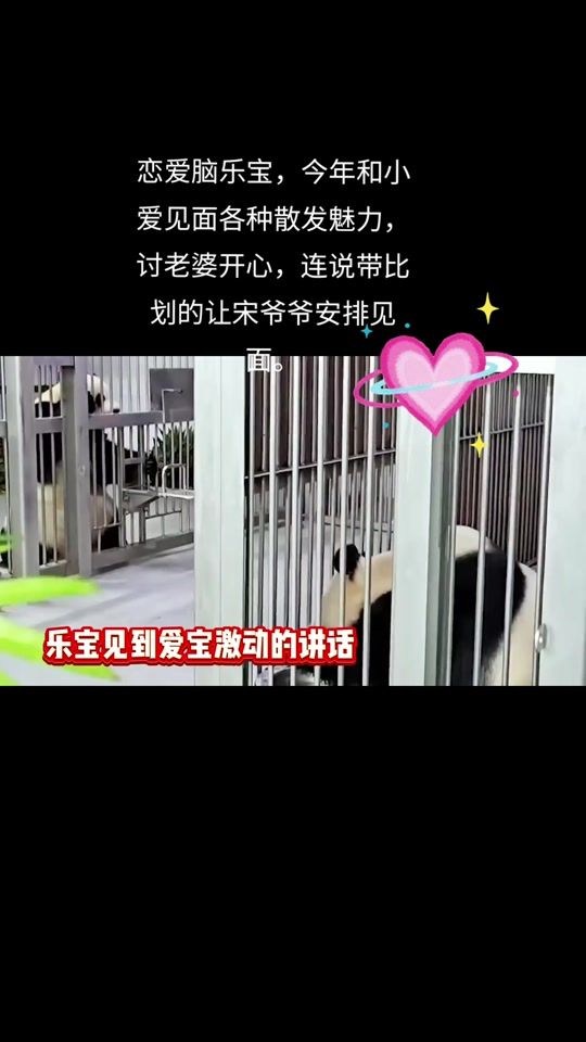 TikTok video thumbnail by zh711_