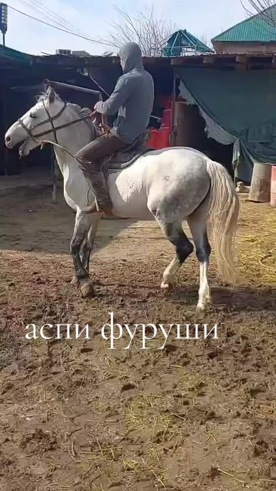 TikTok video thumbnail by aspoi.fyryshi