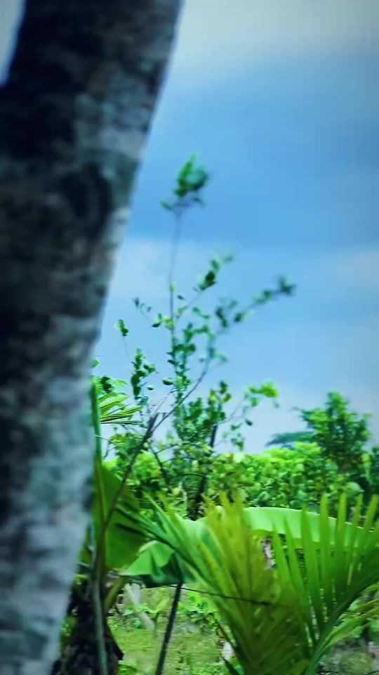 TikTok video thumbnail by bk_ratul29