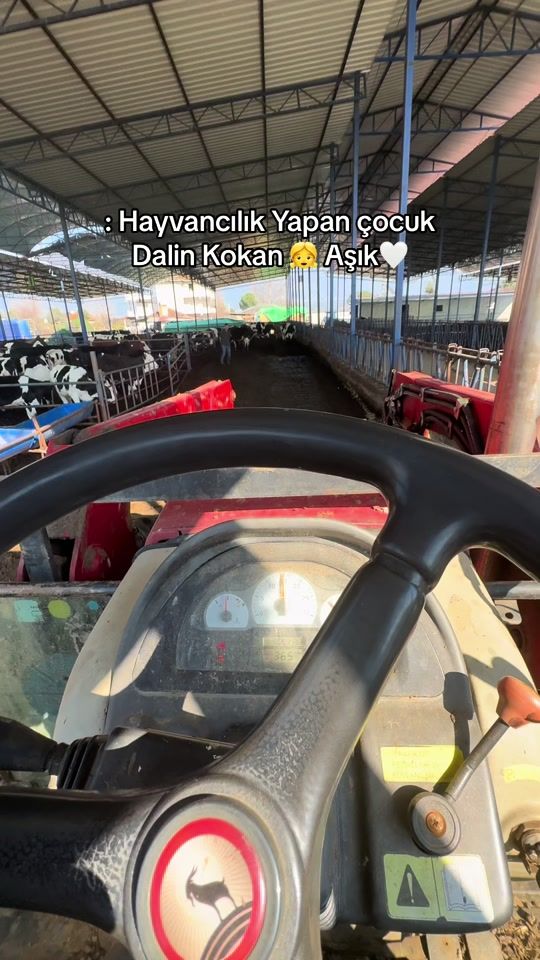 TikTok video thumbnail by muhammetappak35