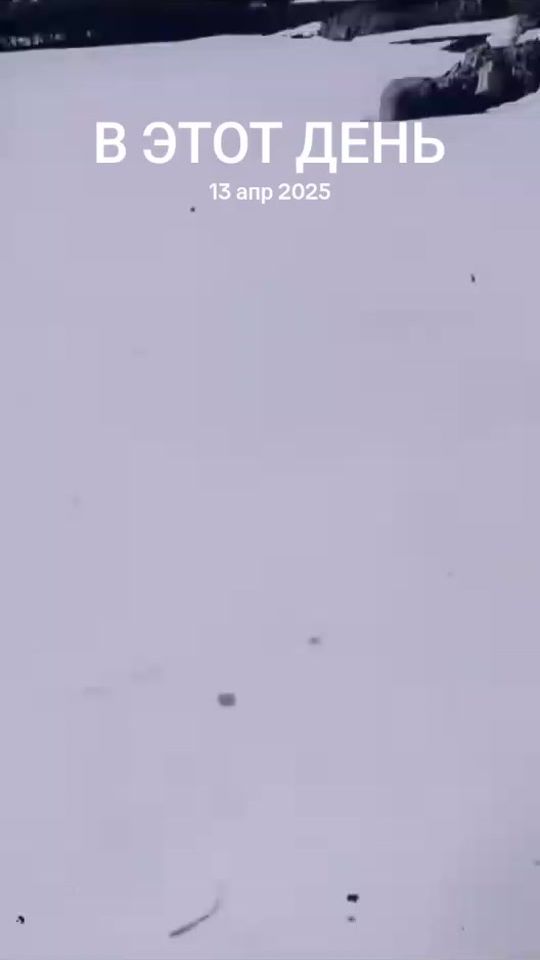 TikTok video thumbnail by shirchoy044